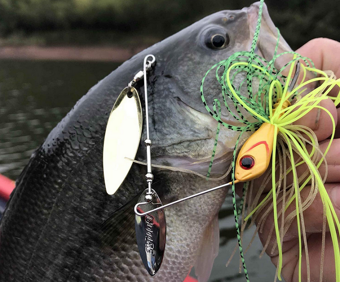 魚とルアーのアップ写真