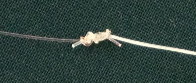 ラインノットのアップ写真