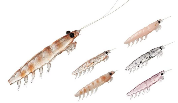 ルアーのアップ写真