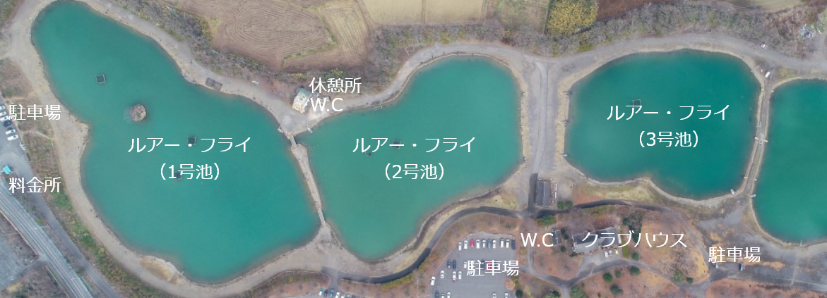 池の全景