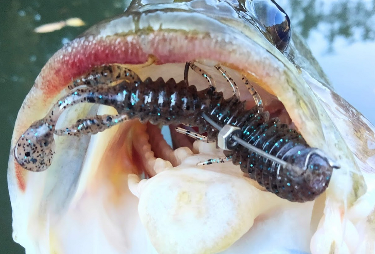 ワームとフックとシンカーの写真