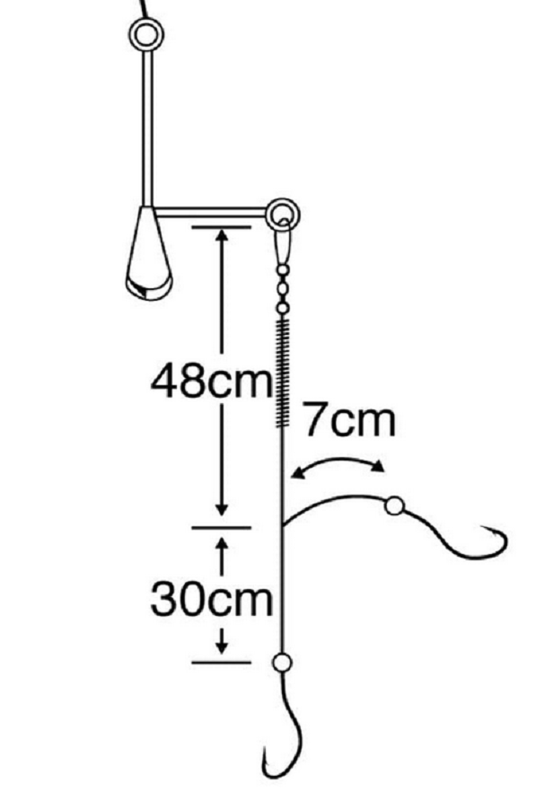仕掛けのイラスト
