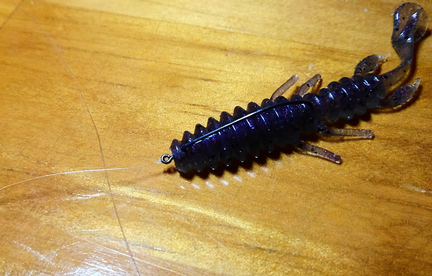 ワームのアップ写真