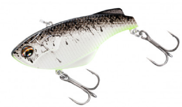 ルアーのアップ写真