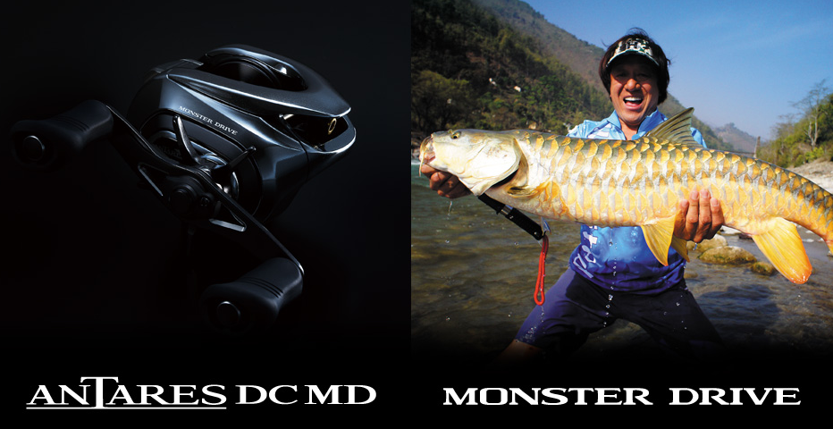 リールのアップ写真