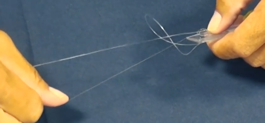 ラインノットのアップ写真