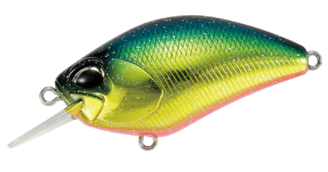 ルアーのアップ写真