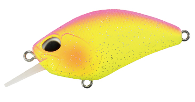 ルアーのアップ写真