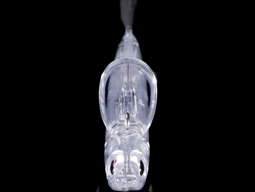 ルアーのアップ写真