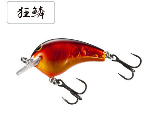 ルアーのアップ写真