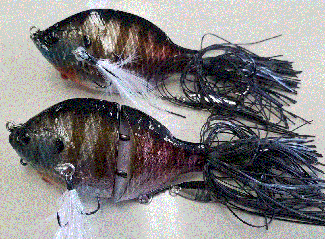 ゾーイとジョイントゾーイの写真