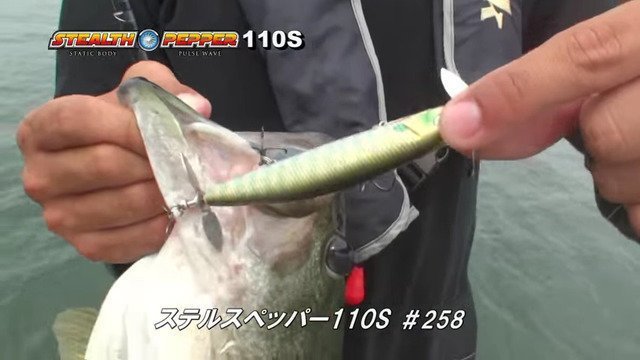 ルアー　バス釣り　バスフィッシング