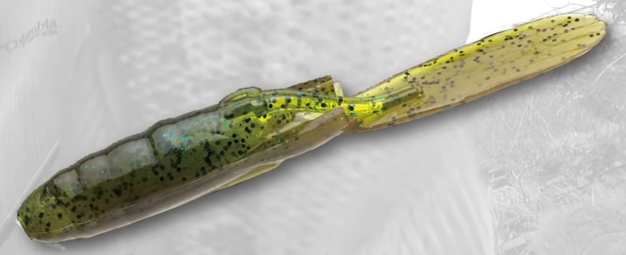 ワームのアップ写真