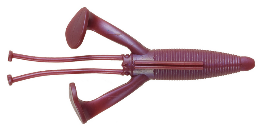 ワームのアップ写真