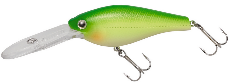 ルアーのアップ写真