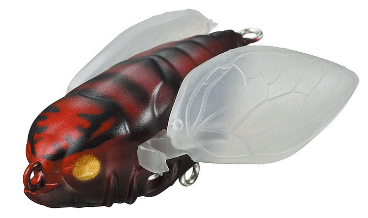 ルアーのアップ写真