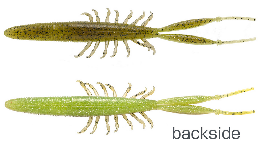 ワームのアップ写真