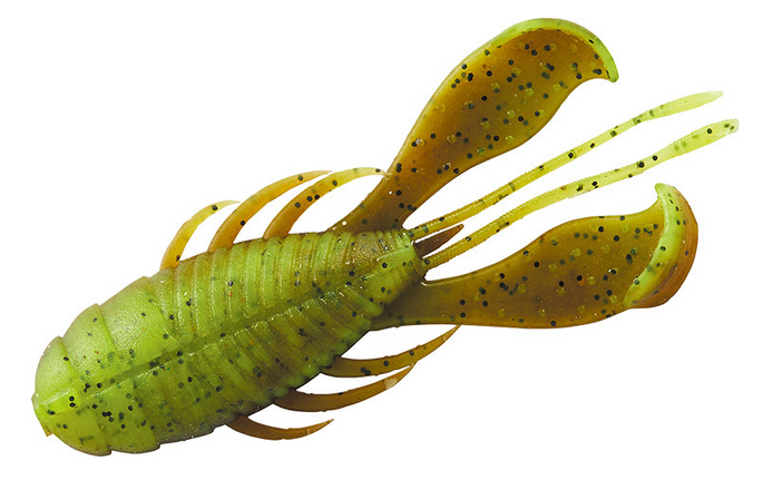 ワームのアップ写真