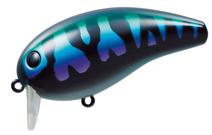 ルアーのアップ写真