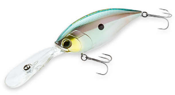 ルアーのアップ写真