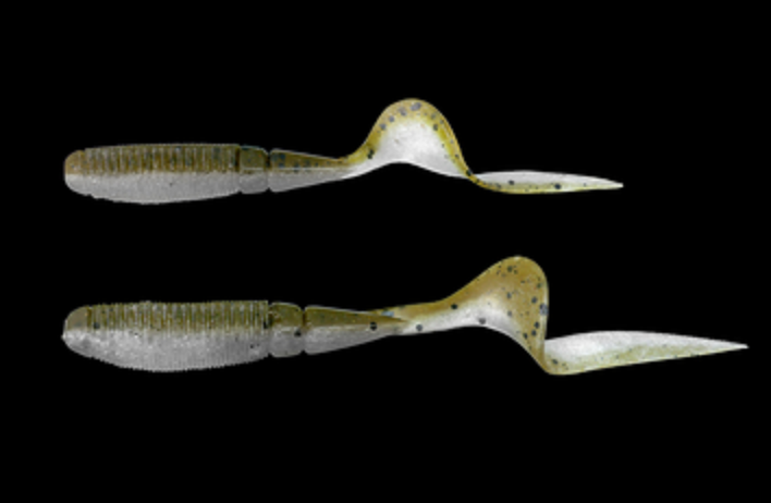 ワームのアップ写真