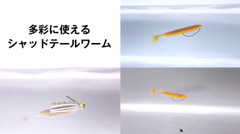 ワームのアップ写真