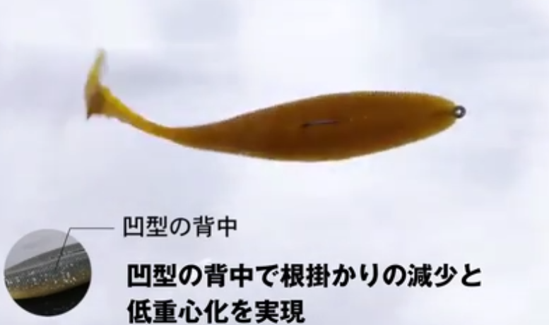 ワームのアップ写真