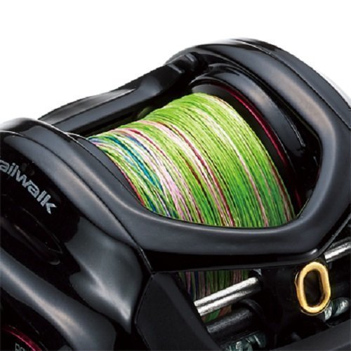 スプールの写真