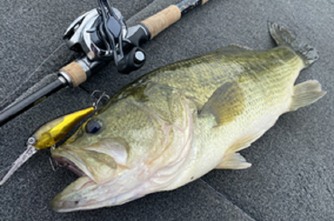 ルアーのアップ写真