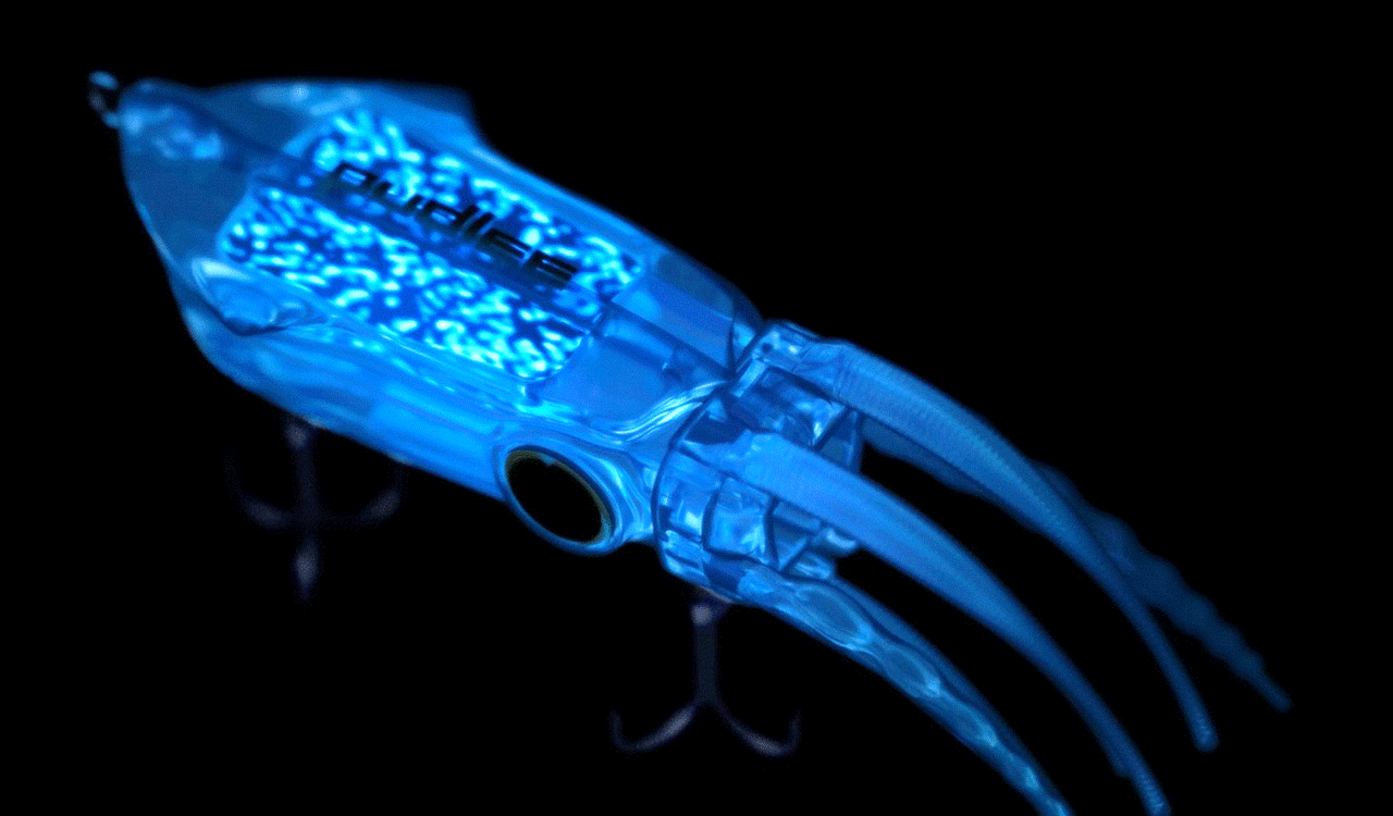 イカルアJETの写真