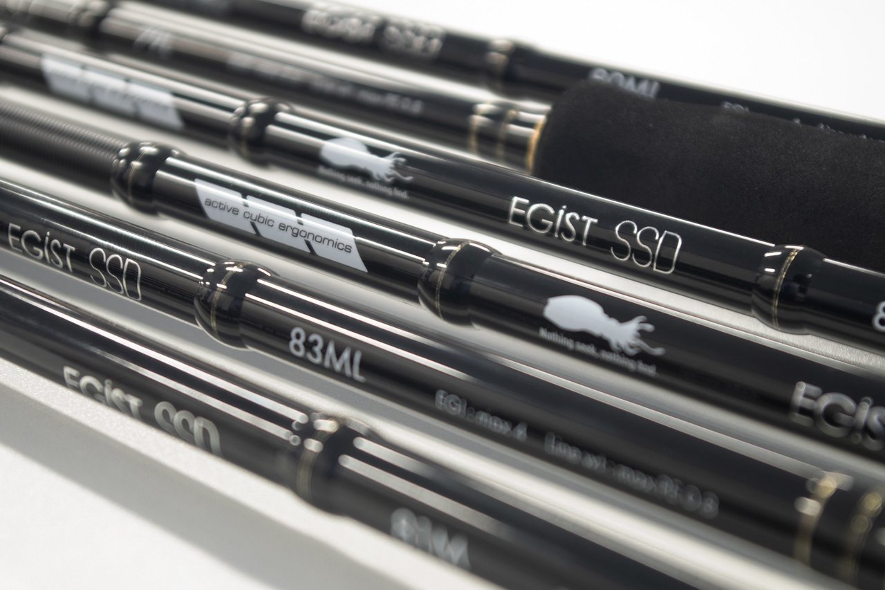 エギストSSDの写真