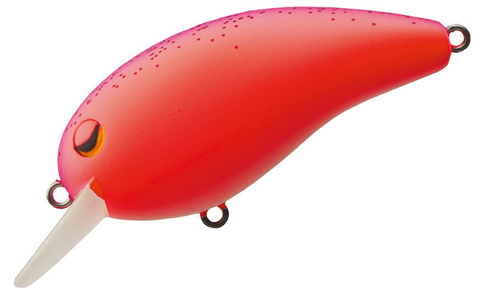 ルアーのアップ写真