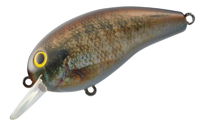 ルアーのアップ写真