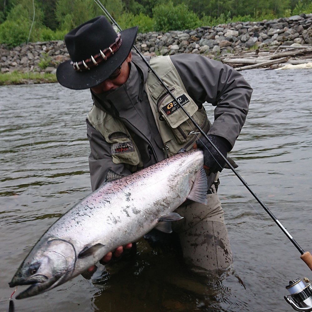 ケイソンランズバックスペックKの写真