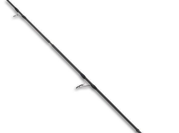 ティップの写真