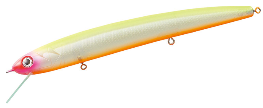 ルアーのアップ写真