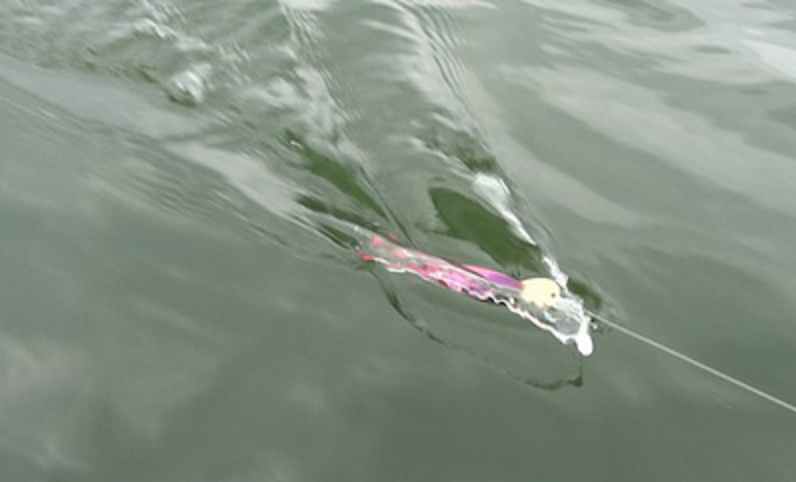 ルアーのアップ写真