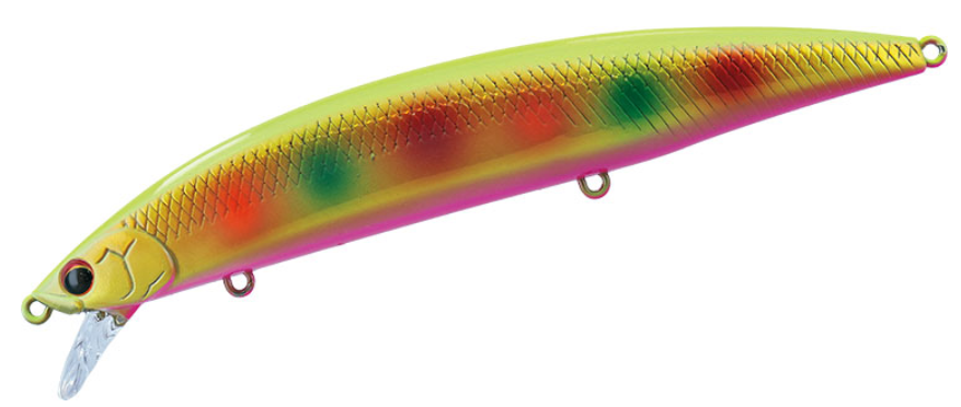 ルアーのアップ写真