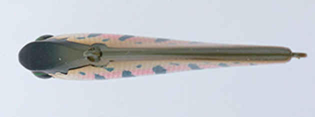 ルアーのアップ写真