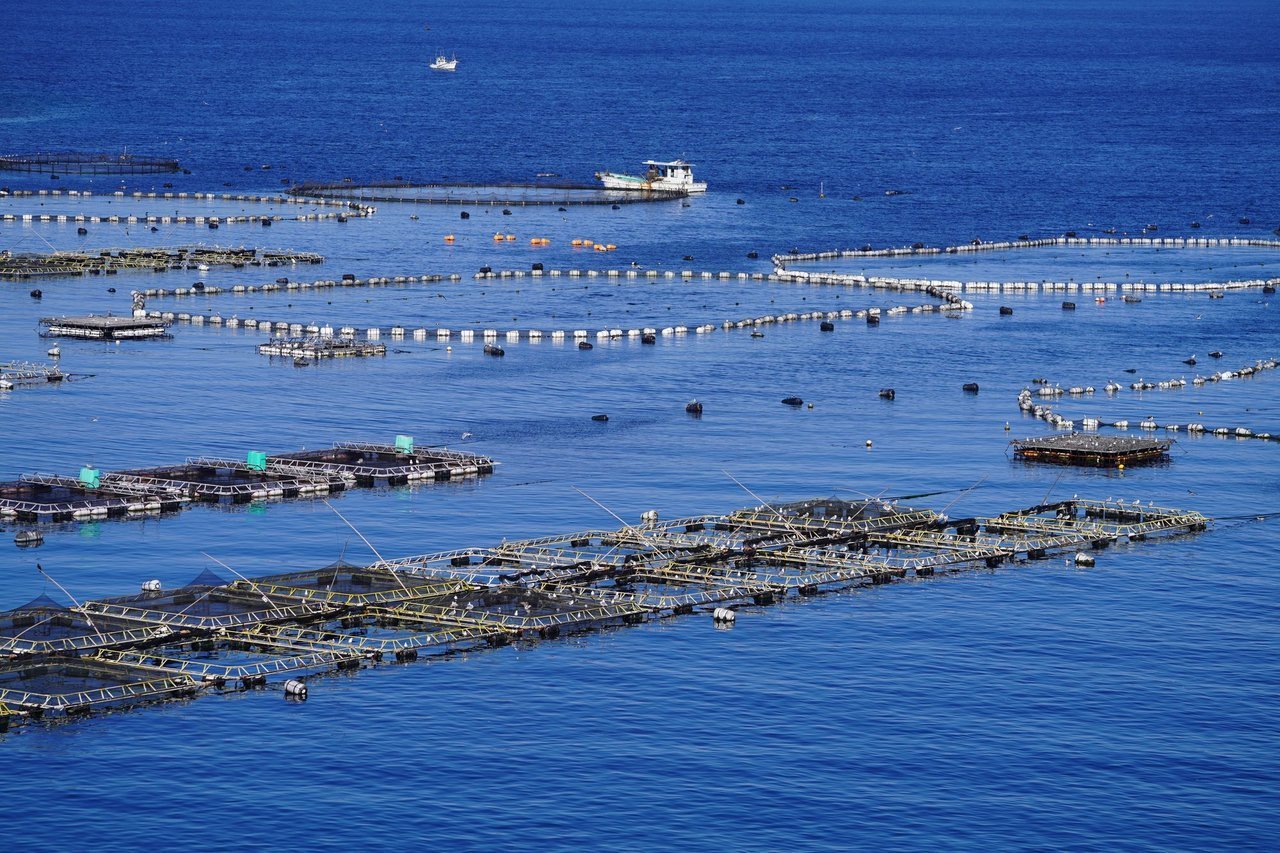 養殖の写真