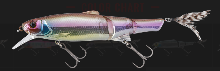 ルアーのアップ写真