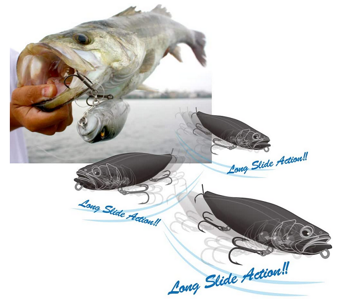 ルアーと魚のアップ写真