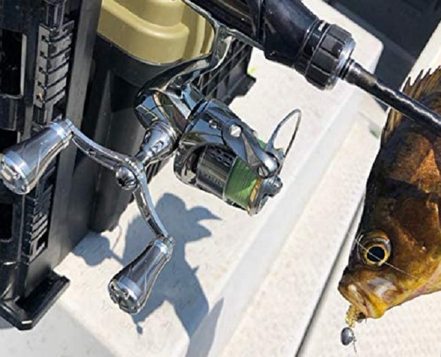 ロッドとリール・魚のアップ写真