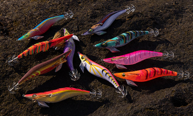 エギのアップ写真