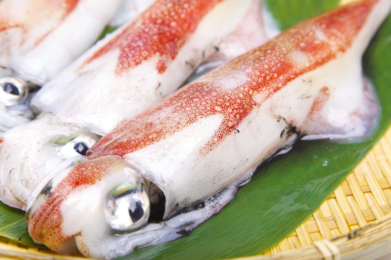 マルイカの写真