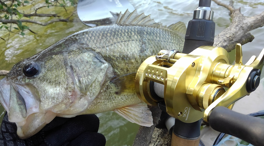 リールと魚のアップ写真