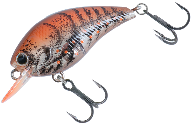 ルアーのアップ写真