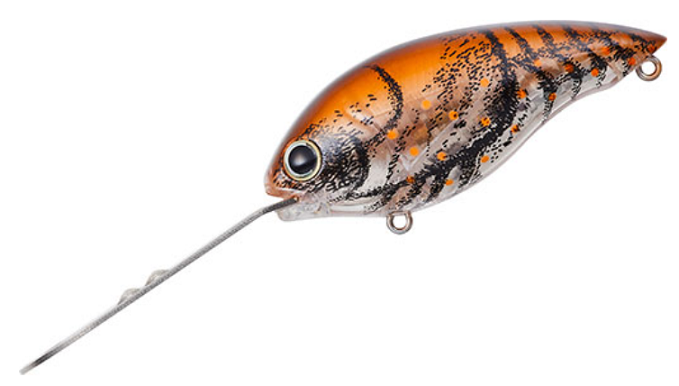 ルアーのアップ写真