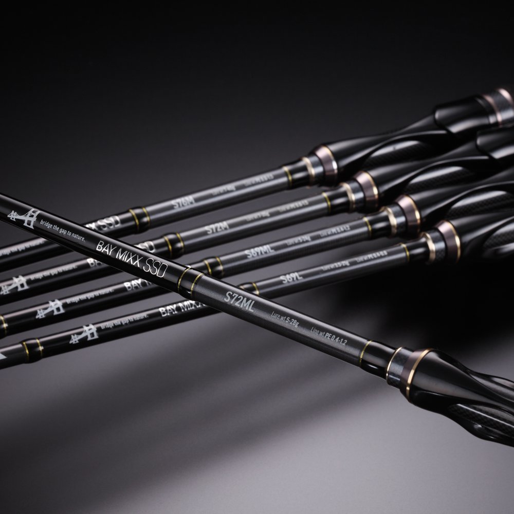 ベイミクスSSDの写真