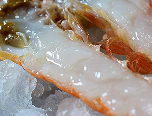 エビのアップ写真